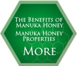 The Benefits of Manuka Honey・Manuka HoneyProperties　MORE 